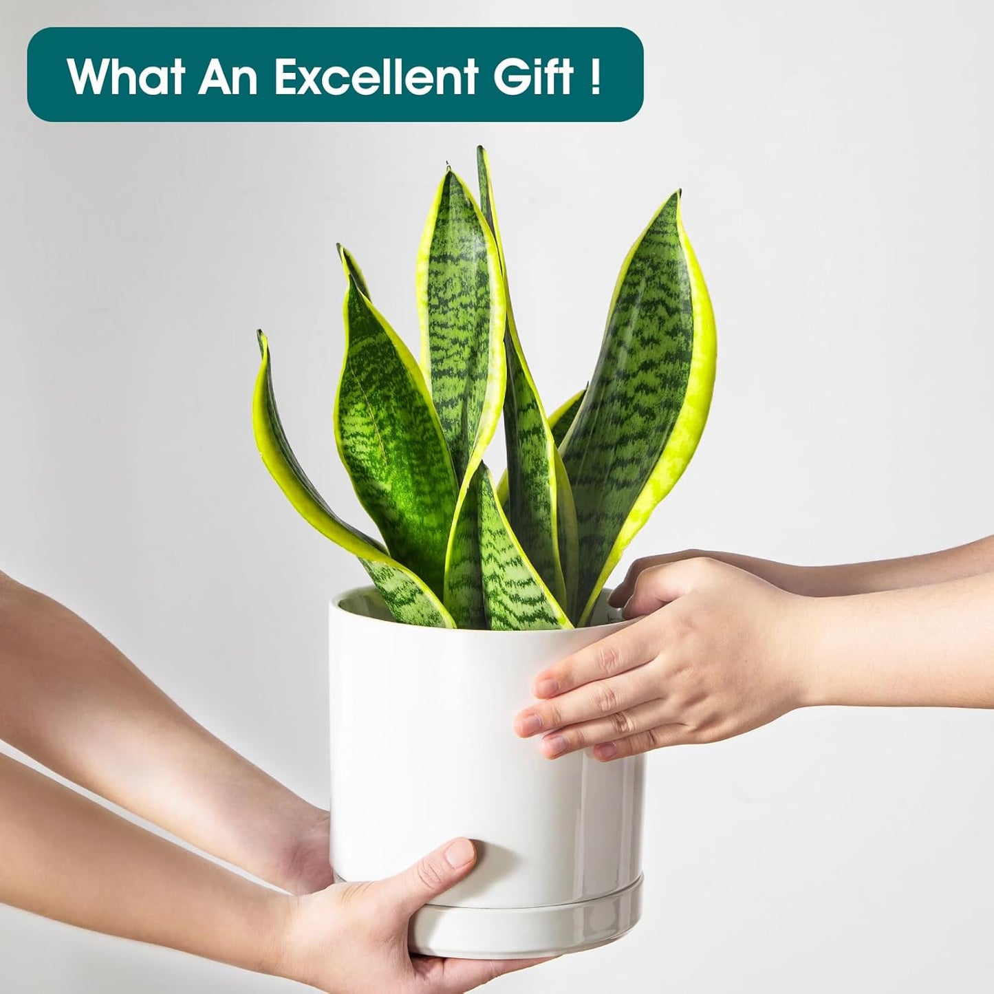 vancasso Ceramic Planters, Plant Pots for Indoor Plants, 6.25+8.25+10.25 Inch Ceramic Pots for Plants, Flower Pots with Drainage Holes, Planters Pot for Indoor House Plant, Set of 3, White