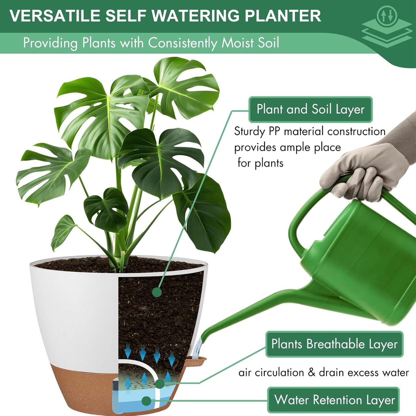 montresor 12/10/8 Inch Self Watering Pots for Indoor Plants Plastic Large Pot for Outdoor Plants, Water Level Window & Spacious Reservoir Flower Pots Decorative Planter with Drainage and Tray (White)
