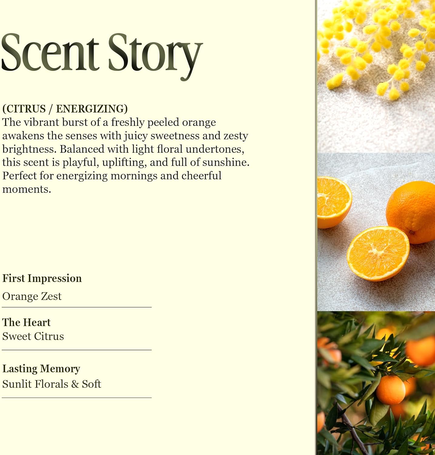 Scented Luxury Candles in Handmade Ceramic Jars, Soy Wax | Orange Blossom β Orange & Mimosa, Large Candle | Non Toxic, 2 Wicks, Reusable Big Orange Jar | Natural Spring Aromatherapy for Women & Men