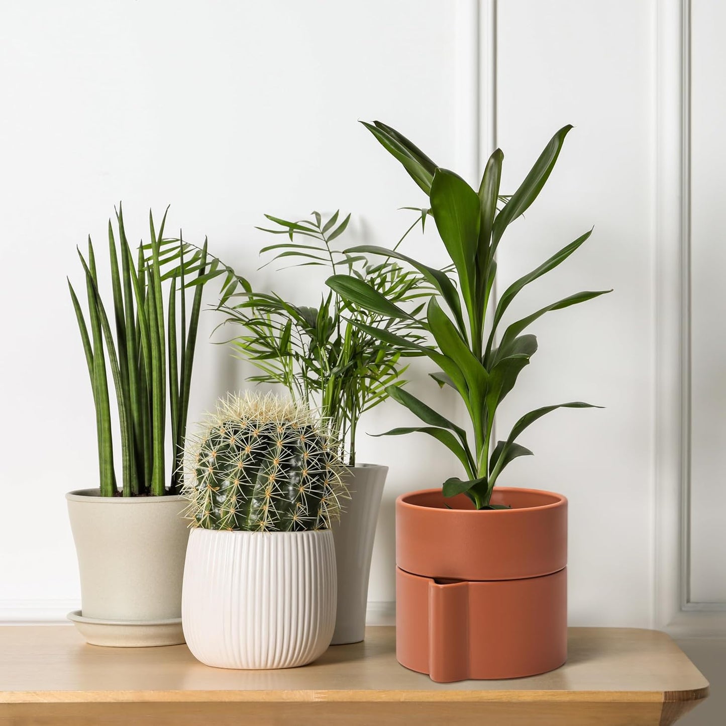 Phoenix Vine 6.5 Inch Self-Watering Planter Pot with Terracotta Insert, Deep Water Reservoir, and Ceramic-Alike BPA-Free Plastic Pot for Plant, Modern Planter for Houseplants, Terracotta, 53-A-S-3