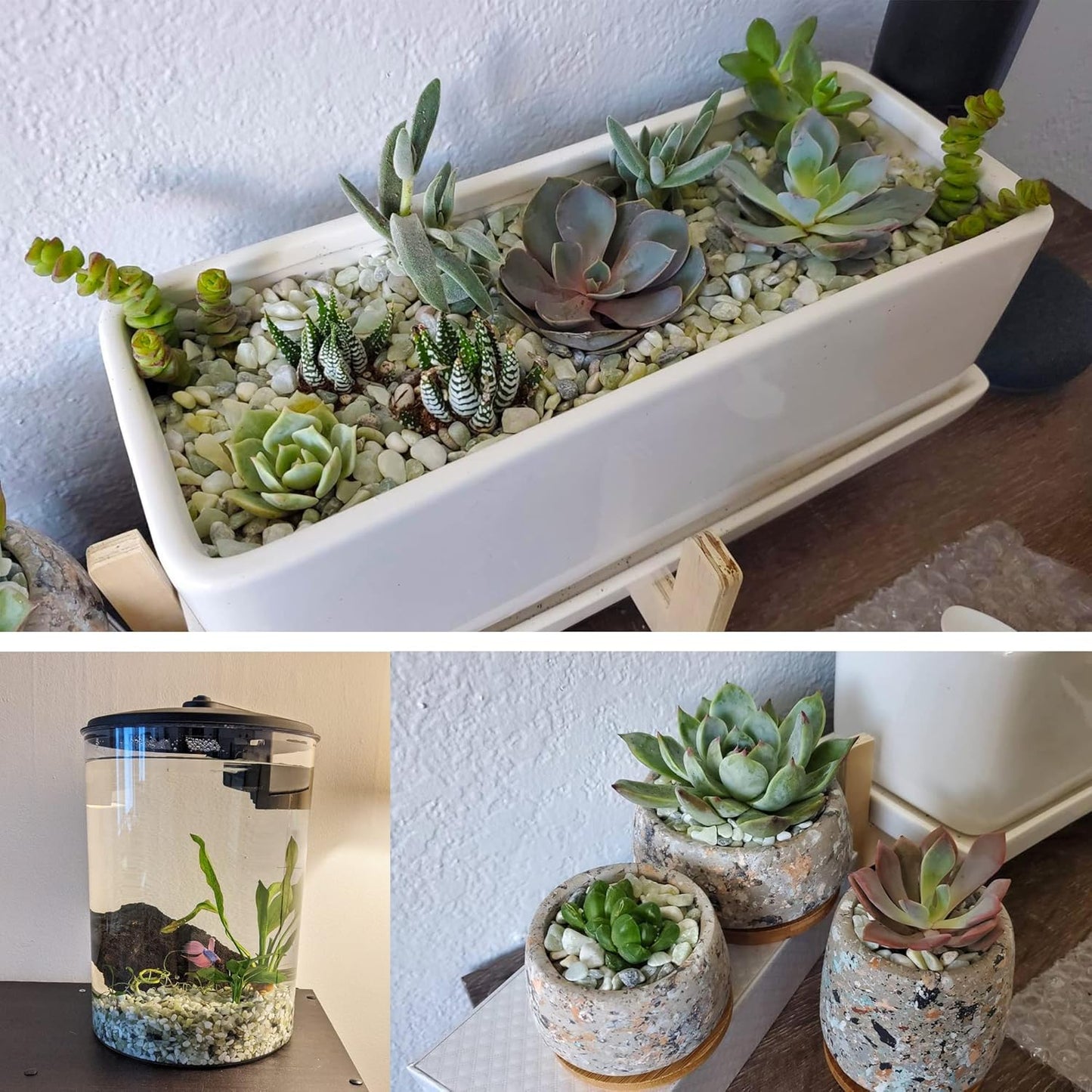 18lb Natural Gravel for Aquarium Succulents Bonsai Terrarium Fish Tank,1/5" Decorative Stone for Plants Indoor