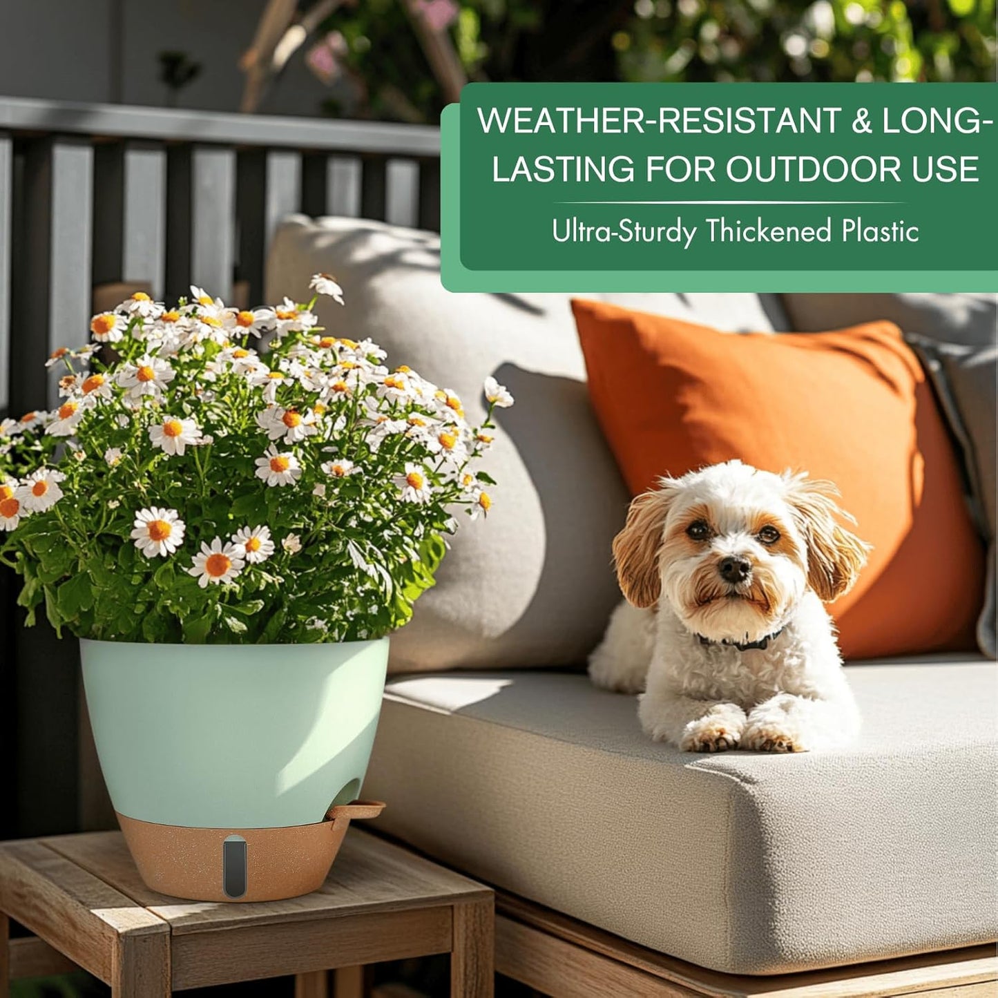 montresor 2 Pack 10 inch Plant Pots, PP Plastic Self Watering Planter with Drainage and Tray for Indoor Outdoor Plants, Water Level Window & Reservoir Flower Pots Decorative Planter (Green)