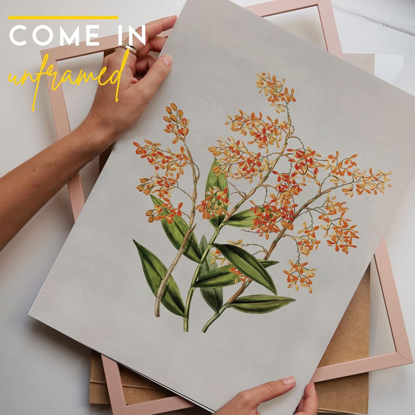 Set Of 9 French Country Prints Wall Decor - Landscape Wall Art French Country Decor, Vintage Wall Decor Gallery Wall Art, Large Bathroom Art Prints, Farmhouse Floral Vintage Art(11X14 IN UNFRAMED)