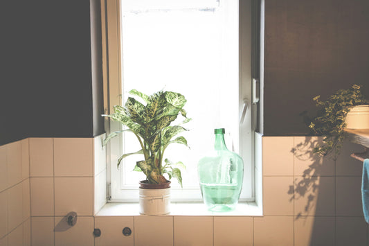 Keeping Kids Interested in Bathroom Hygiene with Fun Accessories