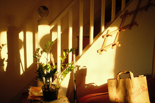 Home Styling Tips for a Peaceful Morning Routine ☀️