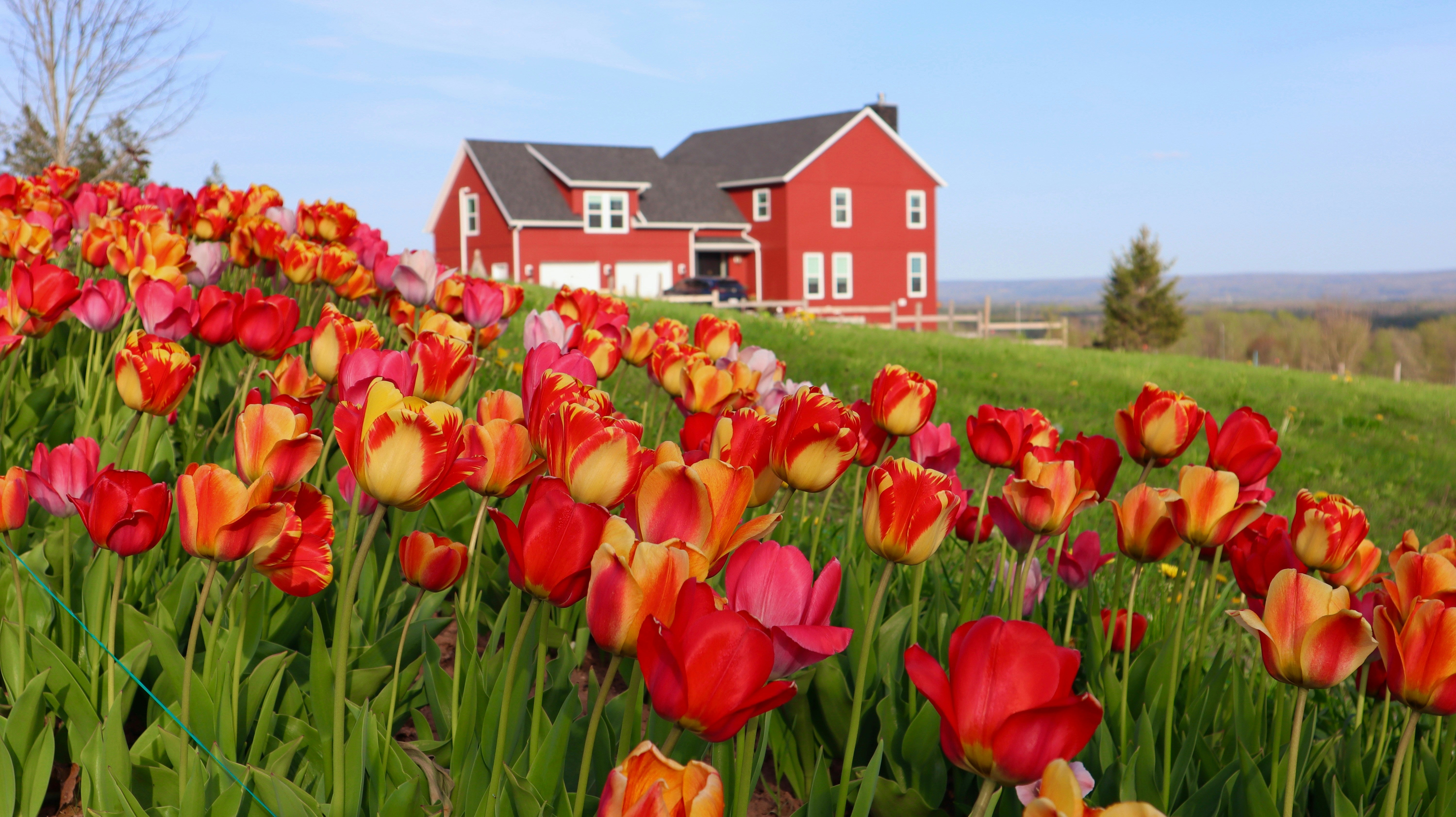 The Ultimate Spring Home Refresh Guide for 2026 | Dwell & Bloom ...