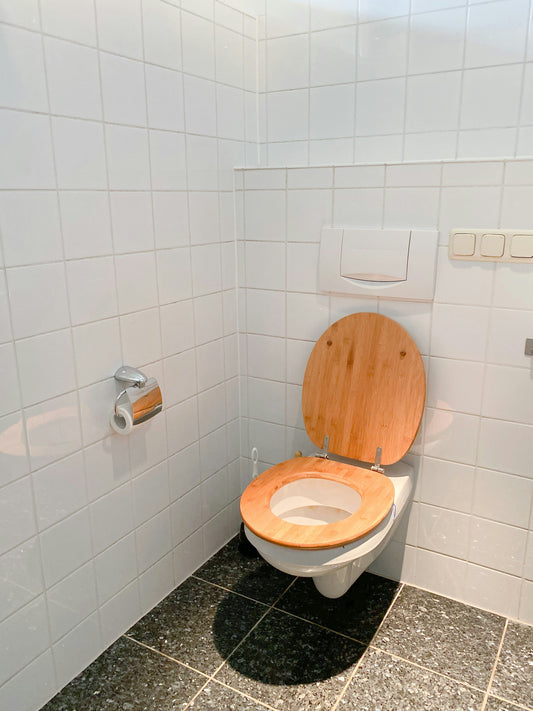 Why Regular Toilet Cleaning Matters for Every Home