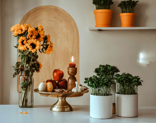 Fall Decor Trends That Make Your Home Cozy