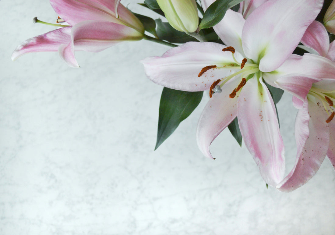 Declutter Your Home the Minimalist Way