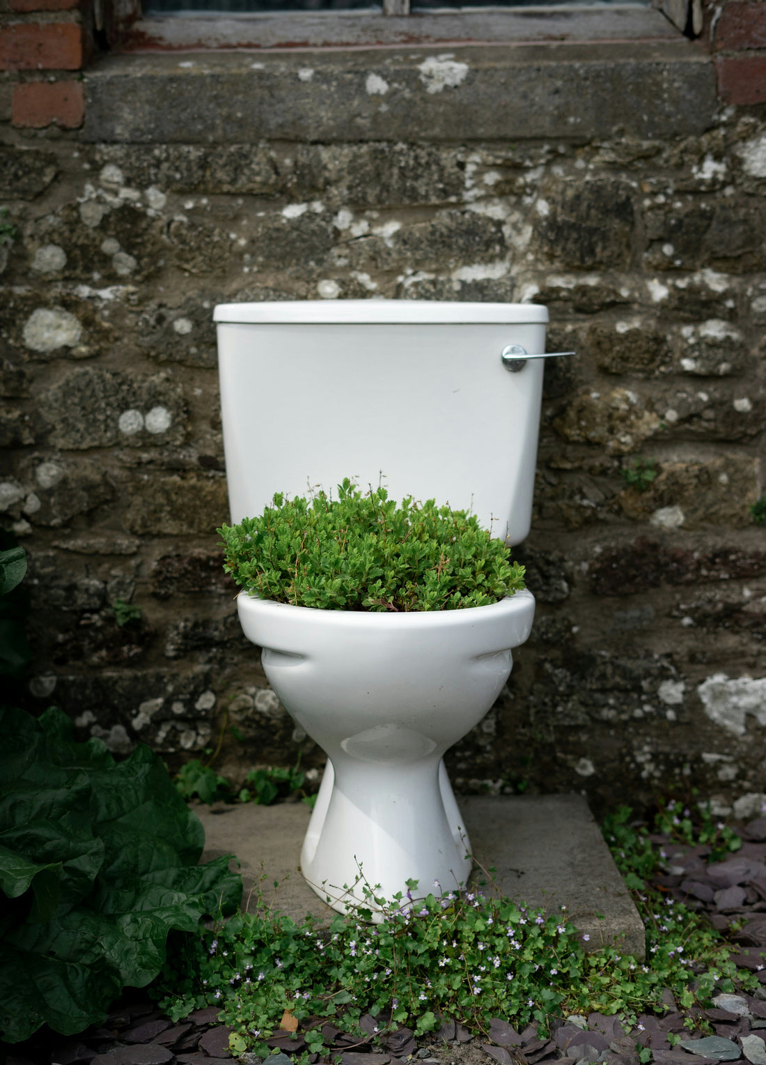 How to Keep Your Toilet Fresh Between Deep Cleanings