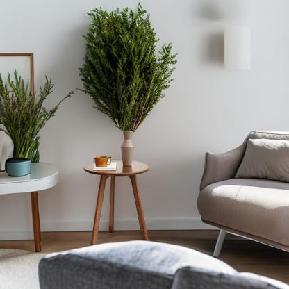 100% Solid Oak Round Side Table, Small Bedside Table for Small Spaces, Living Room End Table with Stable Frame, Modern Nightstand for Bedroom Couch, (Walnut, 17.71" D x 19.68" H)