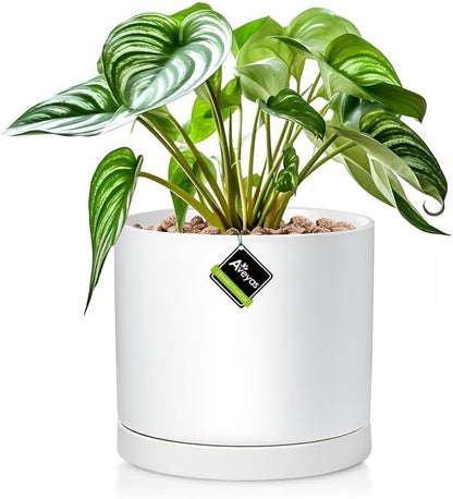 Aveyas 8 inch Ceramic Plant Pot with Drainage Hole and Saucer - Suitable for Indoor and Outdoor Use, Modern Planters for House Garden Flower Tree Snake Monstera Plants (8", Matte White)