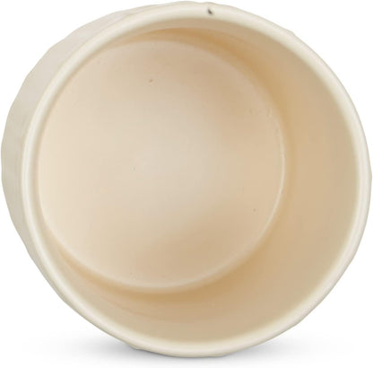 DII Kitchen Accessories Collection, Textured Matte Ceramic Canister Set, Antique White, Vine, 3 Piece