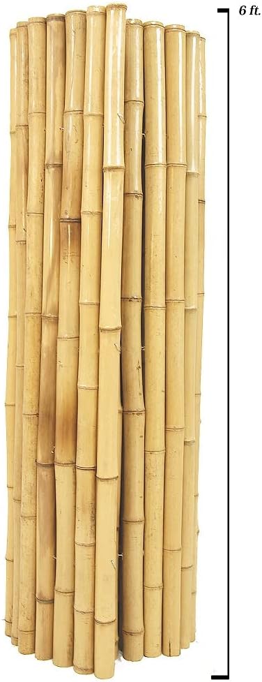 Backyard X-Scapes Natural Bamboo Fencing Decorative Rolled Fence Panel 0.75 in D x 6 ft H x 8 ft L