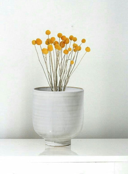 Serene Spaces Living Small Glazed Ceramic Pedestal Bowl, Set of 2- Centerpiece for Vintage Weddings, Events, Measures 4.25" Tall and 4" Diameter