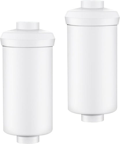 2 Pack Fluoride Water Filter,Replacement for PF-2® Fluoride Filters, Fluoride and Arsenic Filter Compatible with Berkey Gravity Filtration System、 Big、 Travel、 Royal、Imperial and Crown Series