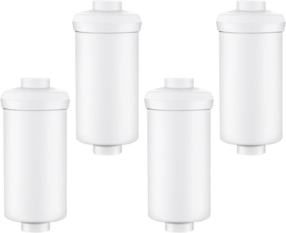 4 Pack Fluoride Water Filter,Replacement for PF-2® Fluoride Filters, Fluoride and Arsenic Filter Compatible with Berkey Gravity Filtration System、 Big、 Travel、 Royal、Imperial and Crown Series