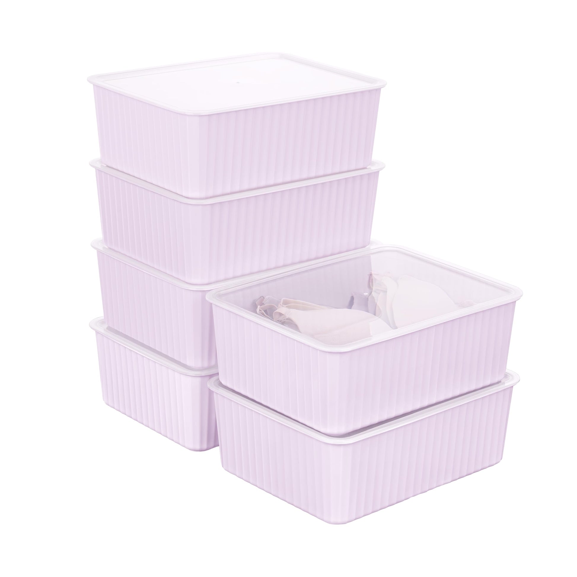Cetomo Plastic Underwear Drawer Organizer with Lid, Lidded Storage Box for Bras, Plastic Basket for