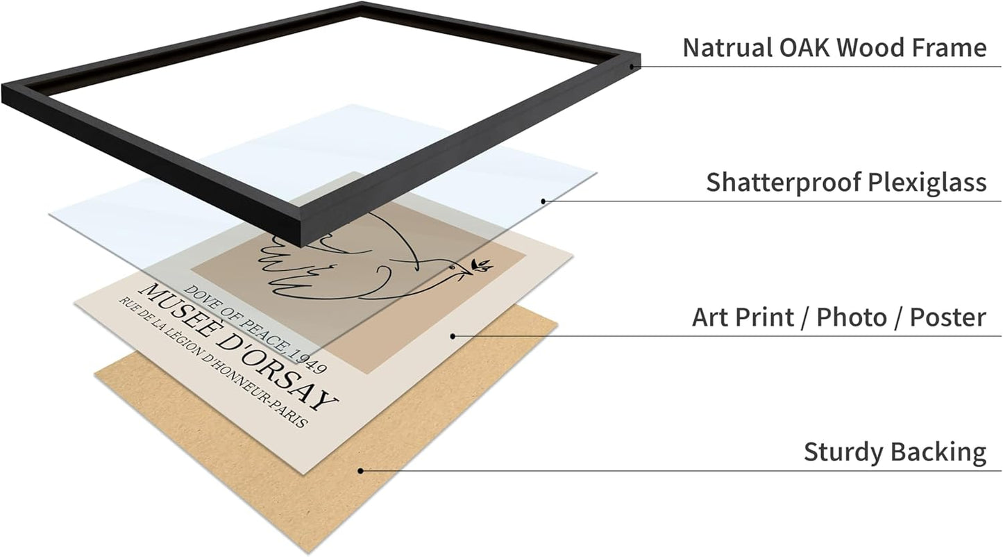 Poster Master Vintage Poster - Retro Minimalist Print - Gift for Artist, Friend - Dove Of Peace, Line Drawing, Sketch, Abstract - Wall Decor for Living Room, Bedroom, 11x14 Black Framed