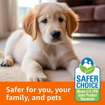 Amazon Basics Oxy Carpet Stain Remover Cleaner, Fresh Scent, 64 fl oz (Pack of 2)