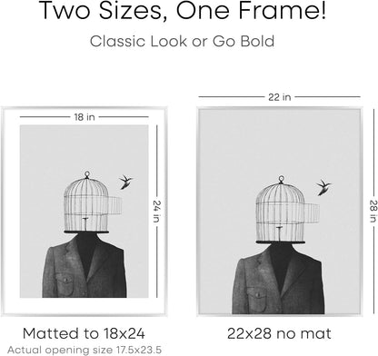 Homeforia Silver 22x28 Picture Frame, Rectangular Metal Poster Frame with Mat, 22 x 28 Frame Matted to 18 x 24 Photo, Wall Mount, Minimalist Style, Tempered Glass, Wall Hook Included