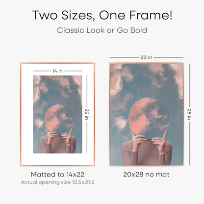 Homeforia 20x28 Frame Rose Gold, High End Metal 20x28 Poster Frames with Mat 14x22 inch Photo, 20 x 28 Rose Gold Picture Frame Matted to 14 by 22 Print, 28x20 Frame, Tempered Glass, Wall Kit, Set of 1