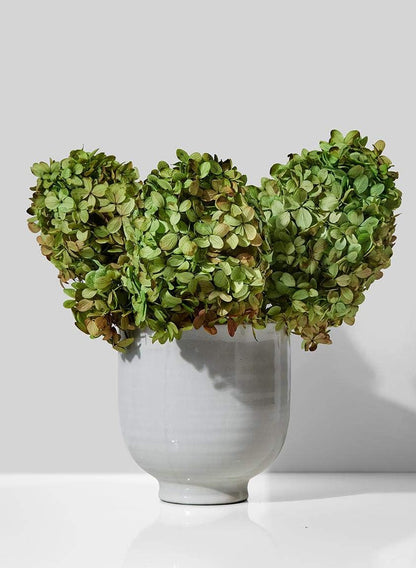 Serene Spaces Living Medium Glazed Ceramic Pedestal Bowl- Centerpiece for Vintage Weddings, Events, Measures 6" Tall and 5.75" Diameter