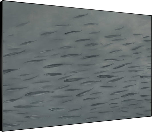 SIGNWIN 46"x60" Extra Large Framed Wall Art Gray School of Fish Minimalist Ocean-Inspired Marine Life Illustration for Home Living Room Bedroom Decor (Frame Assembly Required)