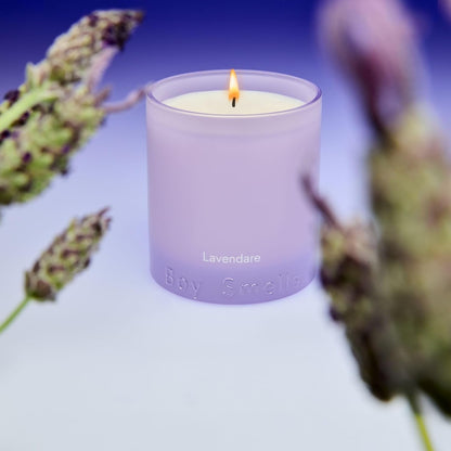 Boy Smells Lavender Candle - 8.5 oz - Luxury Candle with Lemon, Lavander, and Vetiver - Up to 50-Hour Burn - Cotton Wick