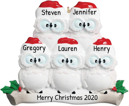 3D Owl Family of 5 Christmas Ornament 2025 Personalized Family Christmas Ornaments 2025 | White Holiday Keepsake Personalized Tree Ornaments Customizable Gifts Woodland Owls of Five Ornament Holly