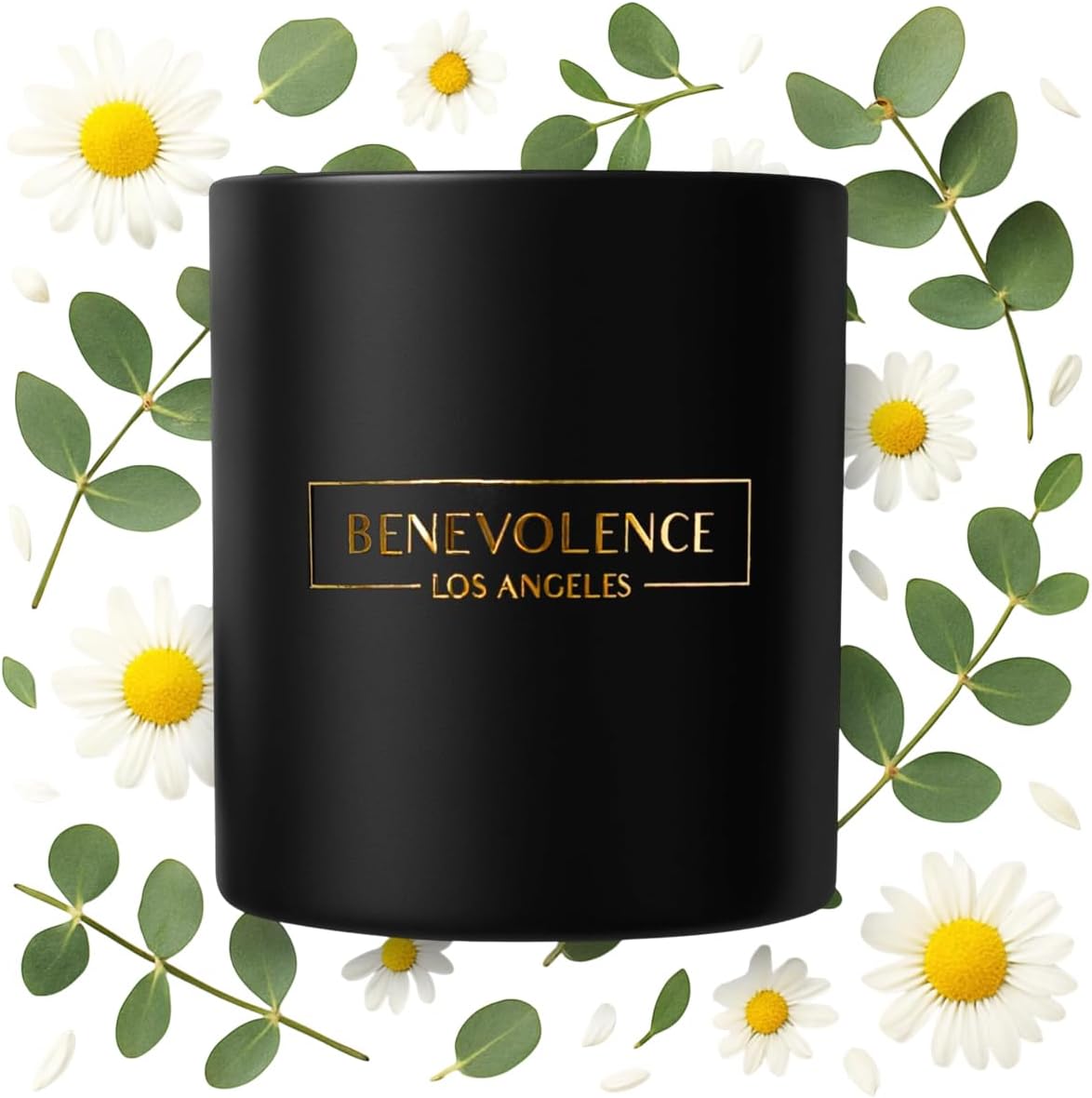 Benevolence LA Eucalyptus & Chamomile Scented Candle | Soy Candles, Black Candle for Home | Gifts for Women and Men | Home Fragrance | Aromatherapy | 8oz, 45 Hour Burn