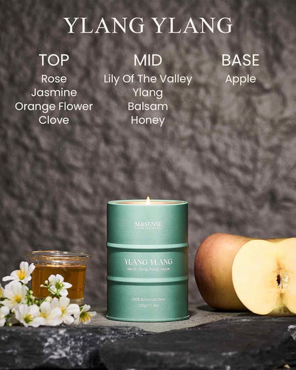 M&SENSE Ylang Ylang Scented Candles Natural Non Toxic, Aromatherapy Candle for Stress Relief Meditation Relaxing, Housewarming Gifts for Women Men, 11.3oz 70 Hour Long Burning