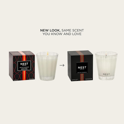 NEST New York Scented Classic Candle, Sicilian Tangerine - 8.1 oz - Up to 60-Hour Burn Time - Reusable Glass Vessel