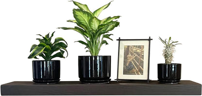 Joel's Antiques 30 Inch Wooden Floating Shelves for Wall - 30x8x2 in - Made of Natural Wood - Heavy Duty Rustic Wall Shelves - Made in USA - Perfect for Living Room, Kitchen - Mocha