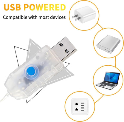 Globe String Lights 65.6 Ft. 120LEDs 8 Modes with Remote,USB Fairy Lights Plug in,Waterproof LED String Lights for Indoor Outdoor Bedroom Party Wedding Garden Christmas Tree Decor,Warm White