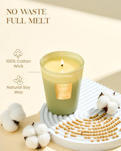 M&SENSE Eucalyptus Cedarwood Scented Natural Soy Wax Candle, 14.1oz 60 Hours Long Lasting Slow Burning Candles for Home Decor, Aromatherapy Candle for Stress Relief