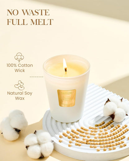 M&SENSE Creamy Vanilla Pie Scented Natural Soy Wax Candle, 14.1oz 60 Hours Long Lasting Slow Burning Candles for Home Decor, Aromatherapy Candle for Stress Relief