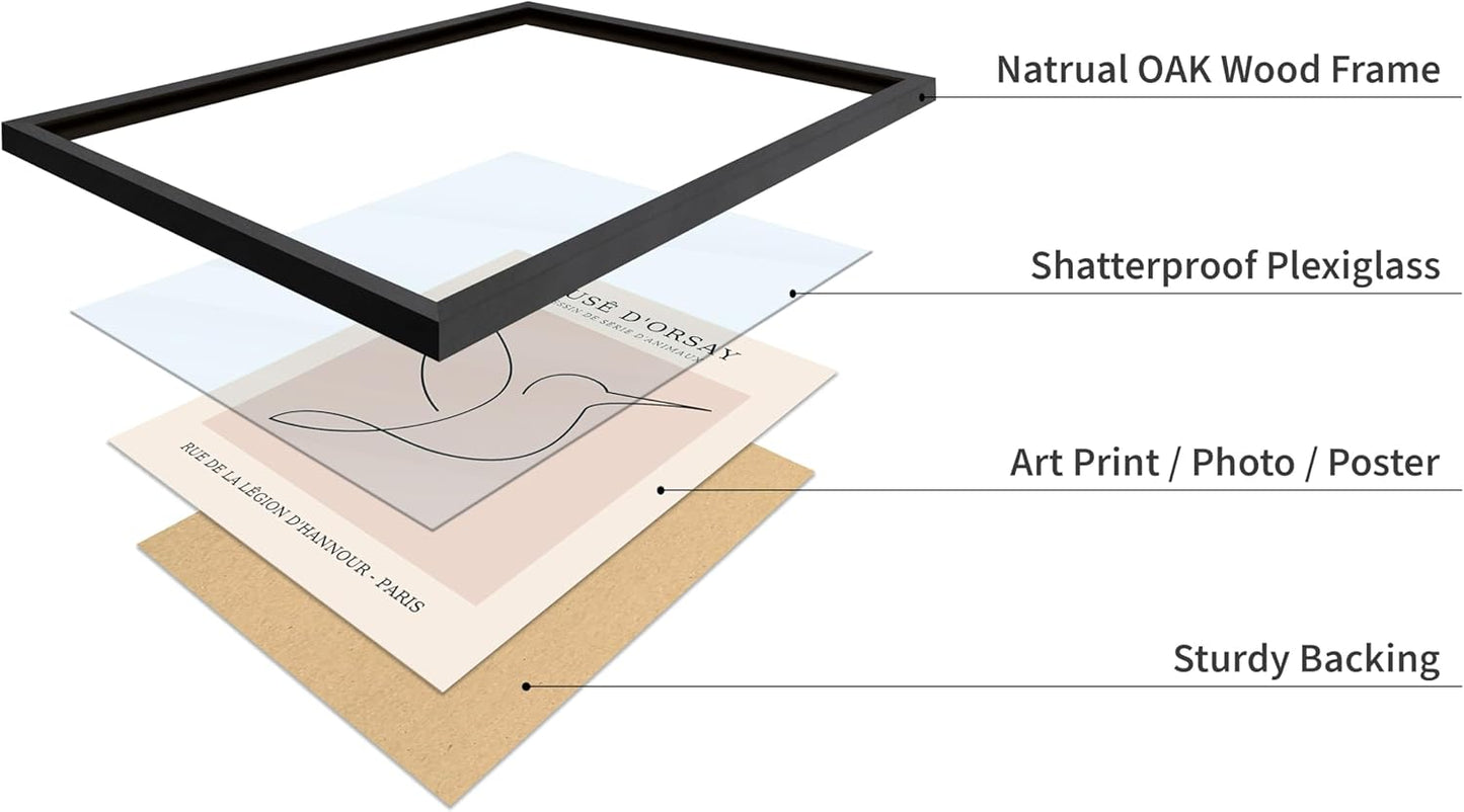Poster Master Vintage Poster - Retro One Line Hummingbird Drawing Print - Bird Line Art - Minimal Gift for Him, Her, Animal Lover - Abstract Decor for Home, Office, 16x20 Black Framed