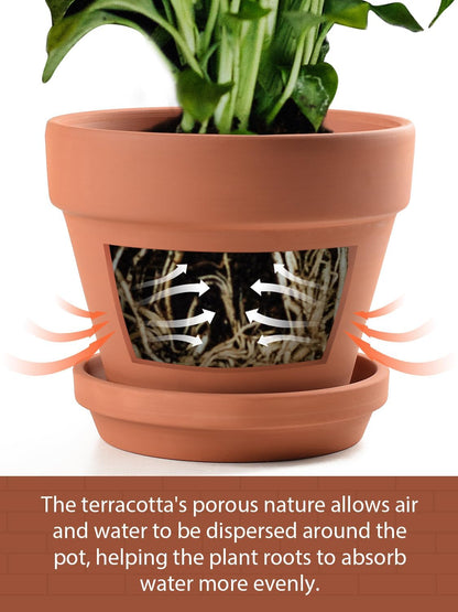 INGOFIN Terracotta Pots Set with Saucer - 5/6/7 inch Ceramic Clay Planters with Drainage Hole, Garden Flower Succulent Pots with Tray for Indoor Outdoor Plants, Set of 3