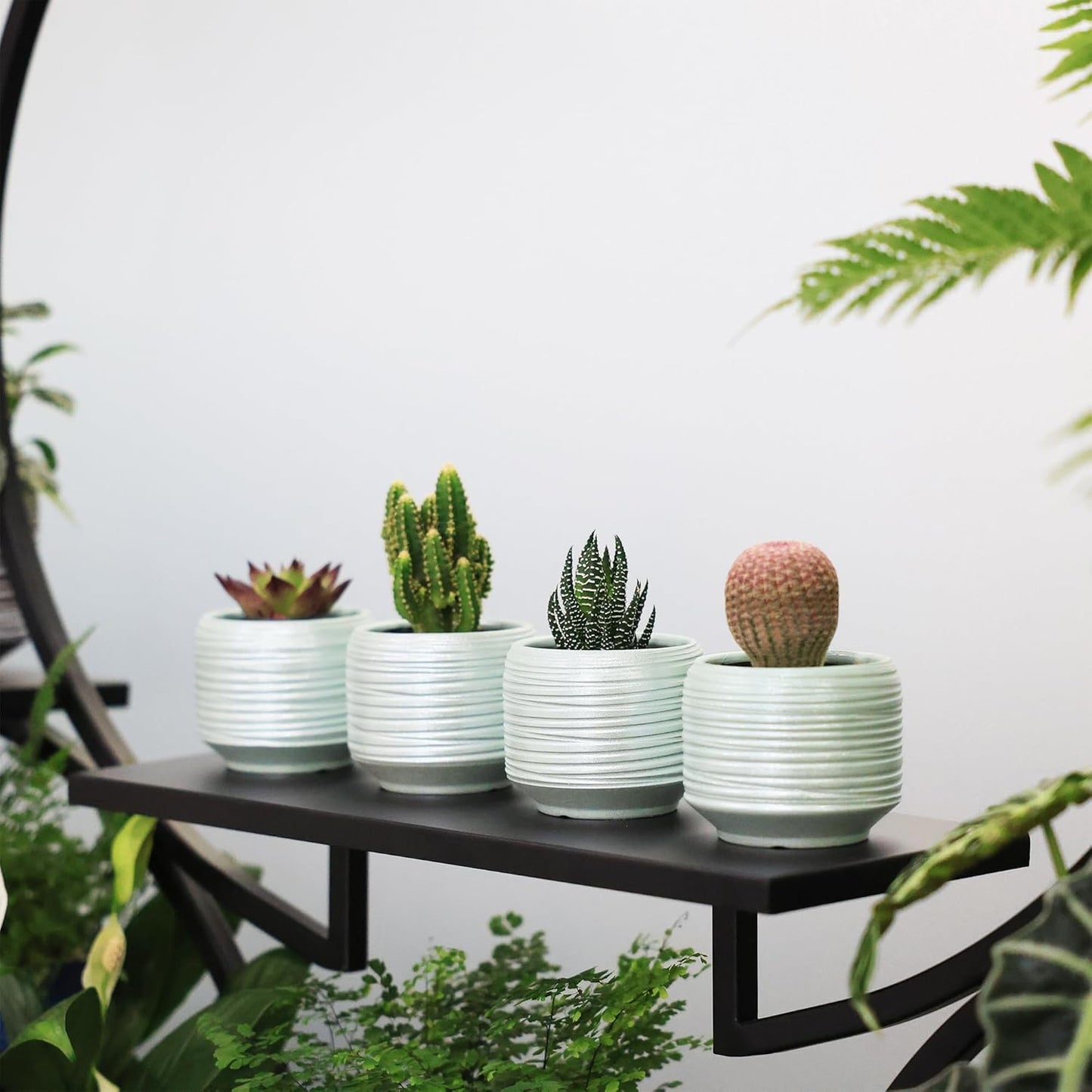 Mini Succulent Planter Set – 3.7 Inch Ceramic Pots with Drainage for Indoor Plants, Small Decorative Flower Pots for Cactus and House Plants, Set of 4