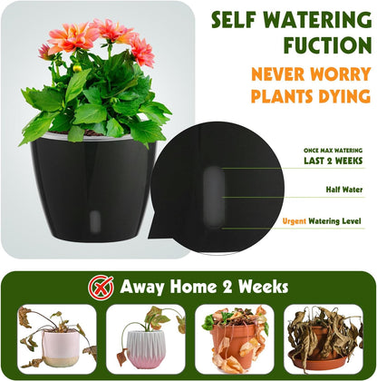 Self Watering Pots for Indoor Plants, 12-Pack 5'' Self Watering Planter with Drainage Holes, Small African Violet Pots with Water Level Indicator, Clear Wick Pot, Black