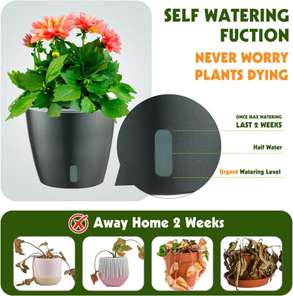 Self Watering Pots for Indoor Plants, 6-Pack 6.7'' Self Watering Planter with Drainage Holes, Small African Violet Pots with Water Indicator, Clear Wick Orchid Pot, Grey Gold