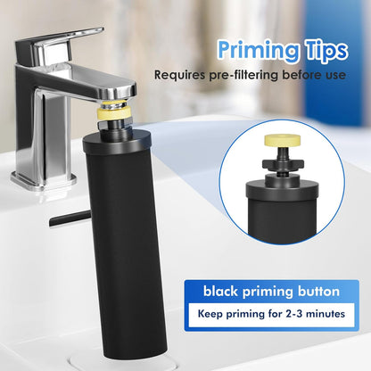 Purewell PF-2 Black 2-Stage Purification Elements, Replacement Filters for ProOne® and Berkey® Filters, ProOne® Big+ or Berkey® Big+ Gravity Water Filter System and Purewell System (2 Pack, K Series)