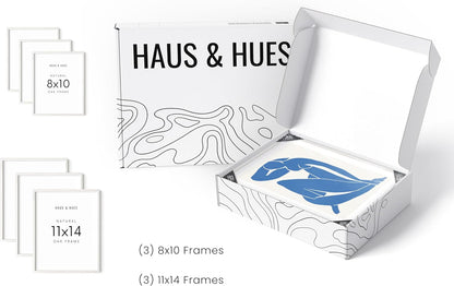 HAUS AND HUES Three 8x10, Three 11x14 - Framed White