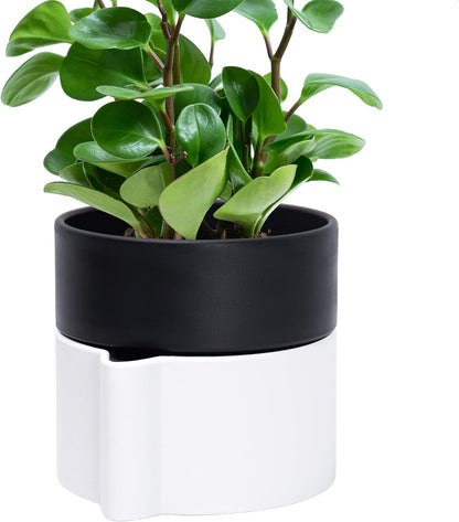 Phoenix Vine 6.5 Inch Self-Watering Planter Pot with Terracotta Insert, Deep Water Reservoir, and Ceramic-Alike BPA-Free Plastic Pot for Plant, Modern Planter for Houseplants, White/Black, 53-B-S-4