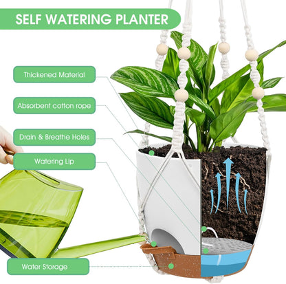 Hanging Planters for Indoor Outdoor Plants, 2 Pack Self Watering Hanging Pots, Hanging Plant Baskets with Drainage Holes & 2 Types of Plant Hangers (Green, 6'')
