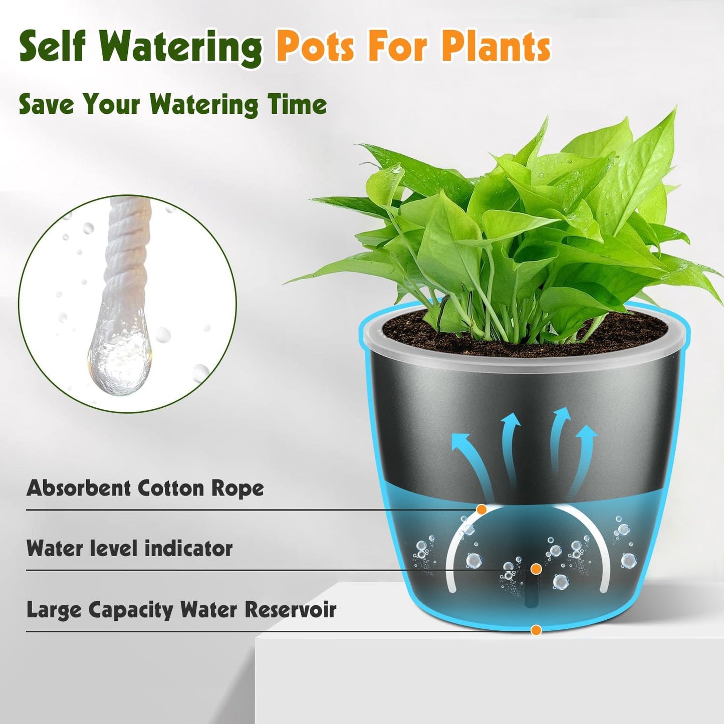 Self Watering Pots for Indoor Plants, 6-Pack 5'' Self Watering Planter with Drainage Holes, Small African Violet Pots with Water Indicator, Clear Wick Orchid Pot, Grey Gold