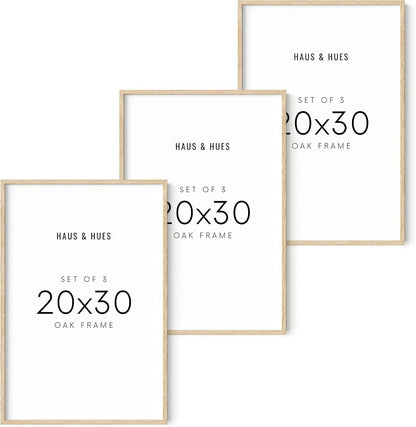 HAUS AND HUES 20x30 Picture Frames - Set of 3: Beige Framed Poster Frames