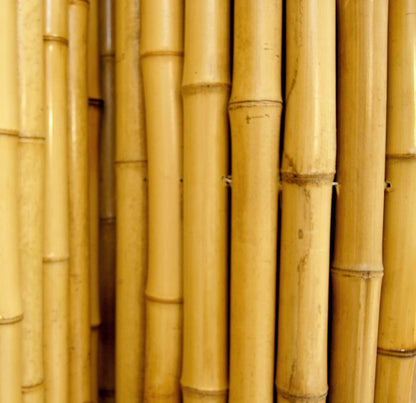 Backyard X-Scapes Natural Bamboo Fencing Decorative Rolled Fence Panel 0.75 in D x 4 ft H x 8 ft L