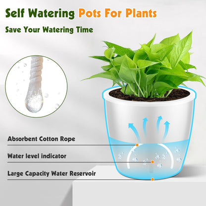 Self Watering Pots for Indoor Plants, 6-Pack 6.7'' Self Watering Planter with Drainage Holes, Small African Violet Pots with Water Indicator, Clear Wick Orchid Pot, White